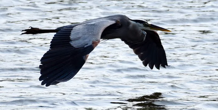 Navy Lakes RV Park & Recreation Event Center Picture 9