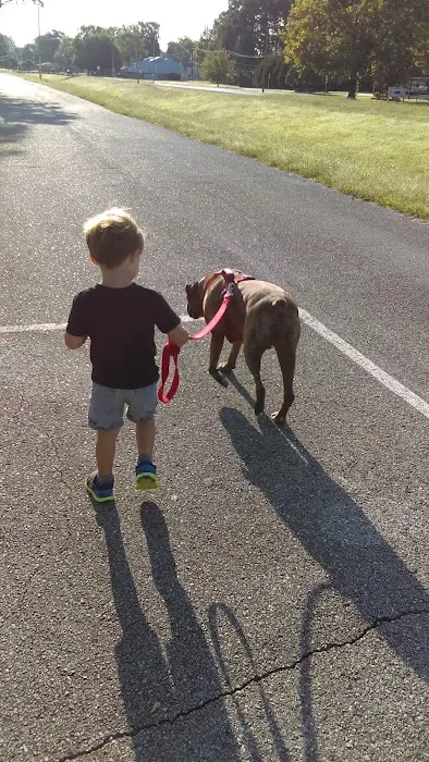 Midway RV Park Picture 9