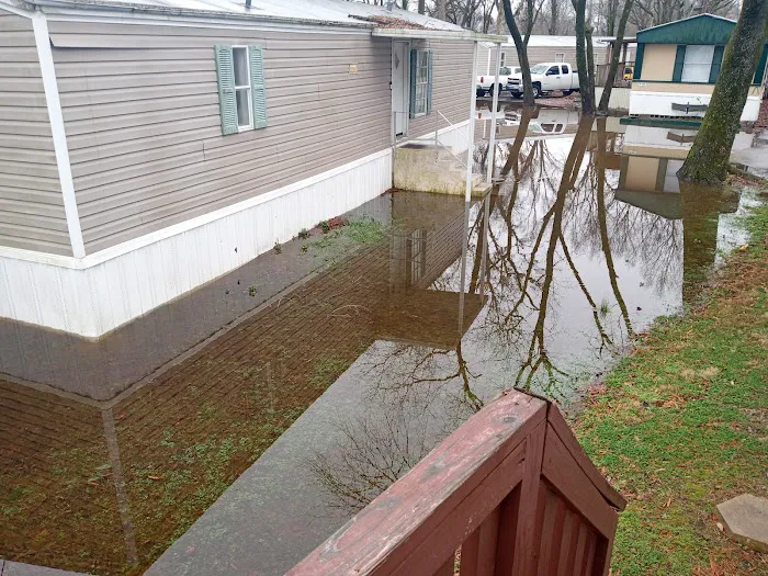 Shady Oaks (TN) Picture 2