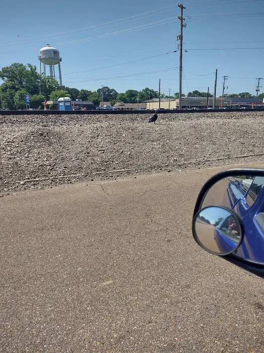 Shady Oaks (TN) Picture 6