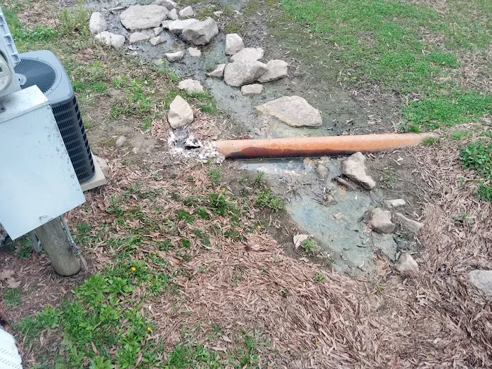 Shady Oaks (TN) Picture 8