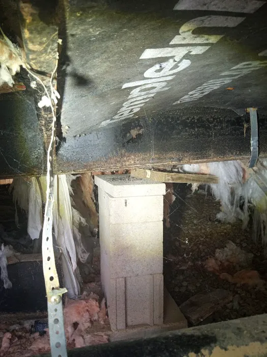 Shady Oaks (TN) Picture 10