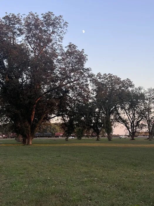 Delta Grove RV Park & Nutrition Picture 8