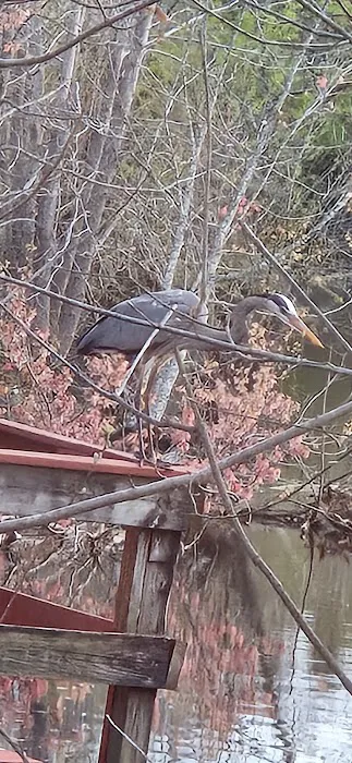 Canada Trace Mobile Home Community Picture 9