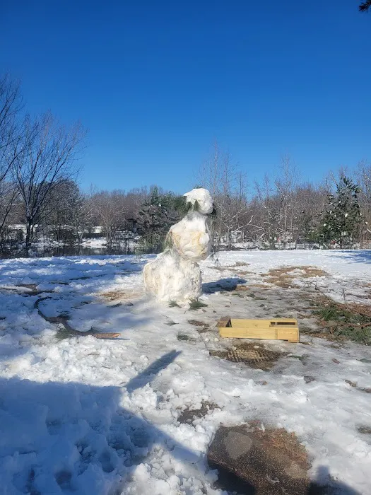 Canada Trace Mobile Home Community Picture 7