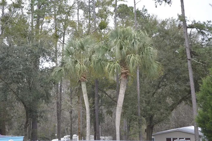 Travelers Campground Picture 7