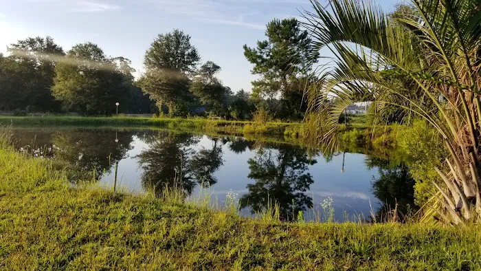 Palm RV Park Picture 8