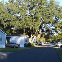 Oak Park Village Manufactured Home Community ico