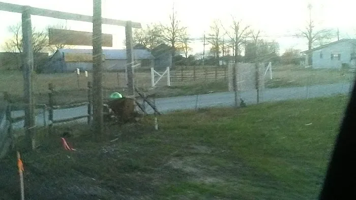 Pine Acres RV Park Picture 4