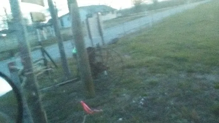 Pine Acres RV Park Picture 5