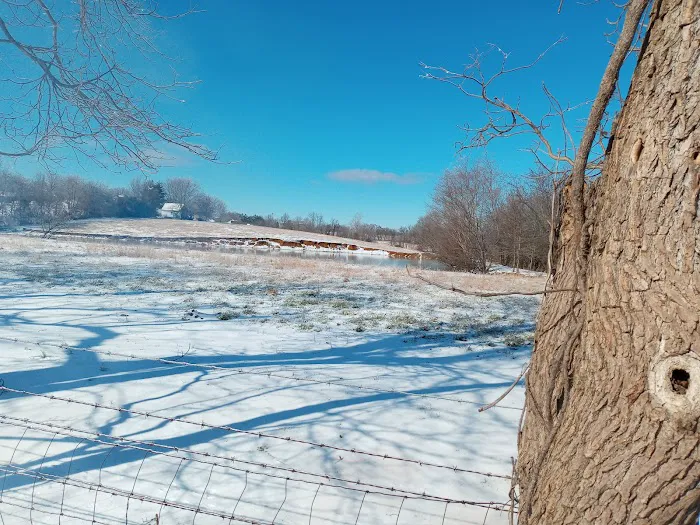 War Eagle RV Park Picture 2