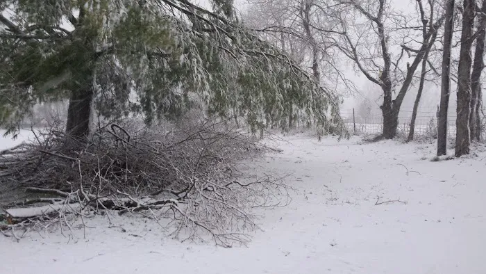 War Eagle RV Park Picture 6