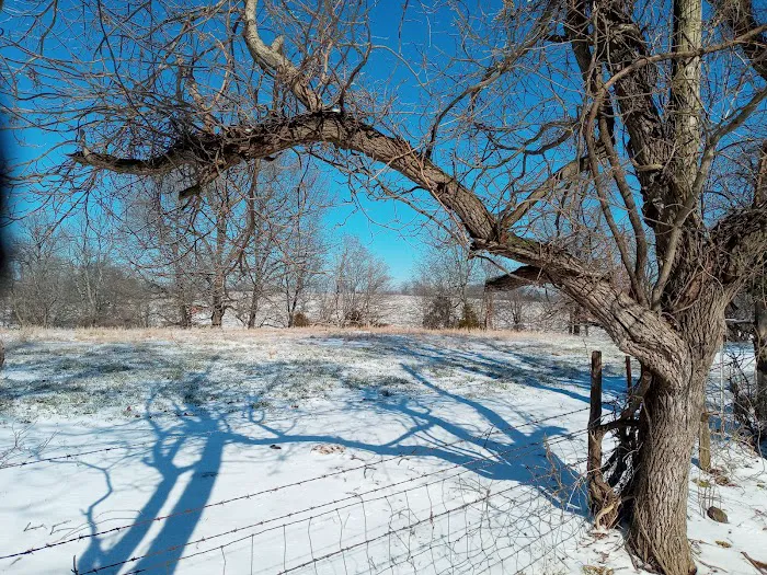 War Eagle RV Park Picture 5