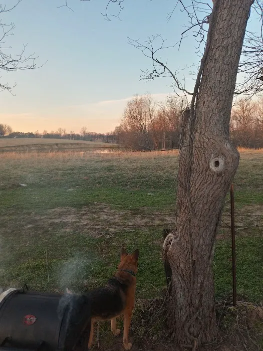 War Eagle RV Park Picture 7