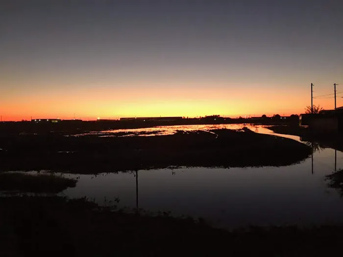 Willow RV Park Picture 6