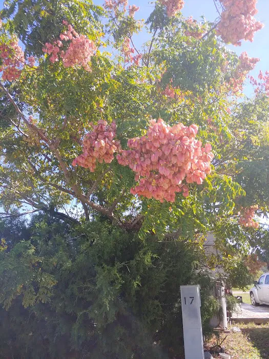 Willow RV Park Picture 9