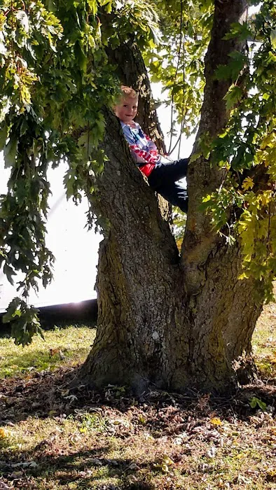 Willow RV Park Picture 10