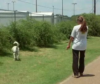 Candlelight Mobile Estates Picture 2