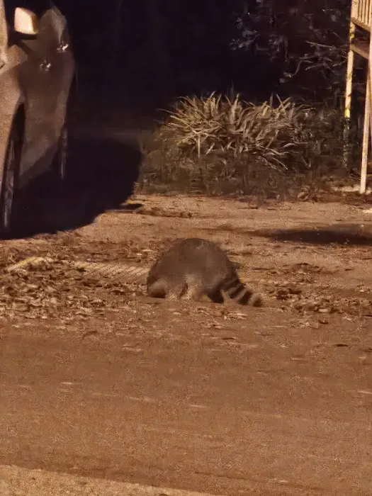 Wheel Estates Picture 2