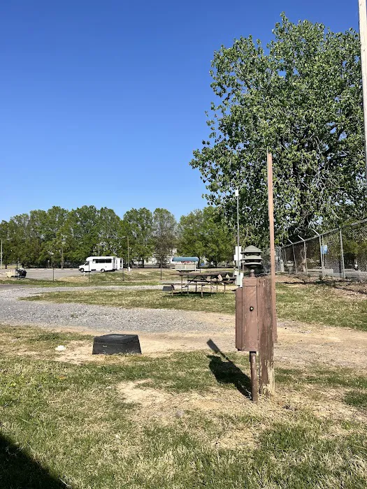 Graceland RV Park & Campground Picture 6