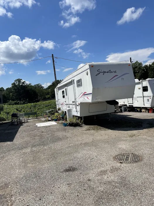 Elvis Presley Boulevard RV Park Picture 3