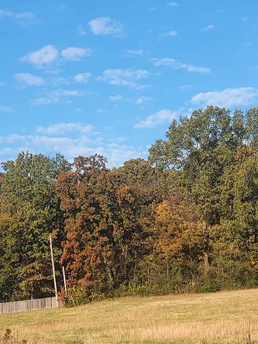 Elvis Presley Boulevard RV Park Picture 4