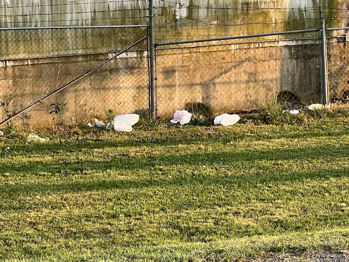 Elvis Presley Boulevard RV Park Picture 10