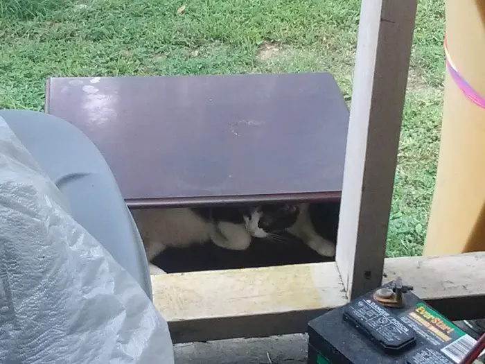 Victoria Mobile Home Park Picture 1