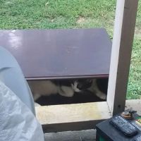 Victoria Mobile Home Park ico