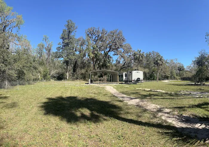 Peaceful Dixie life Picture 1