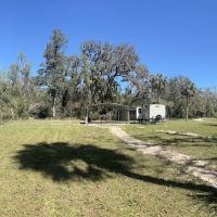 Peaceful Dixie life ico