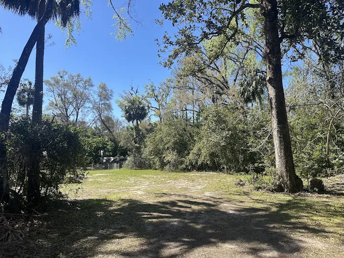 Peaceful Dixie life Picture 9