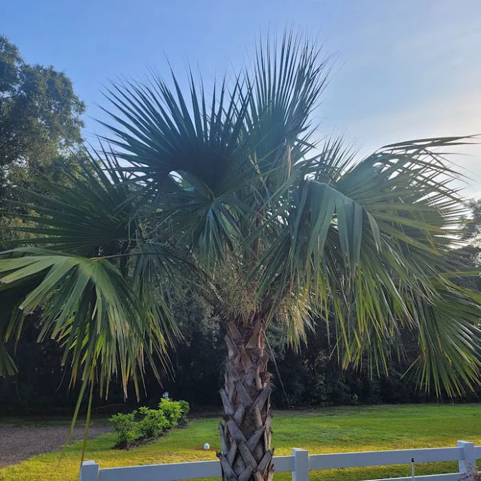 Manatee Springs RV Park Picture 2