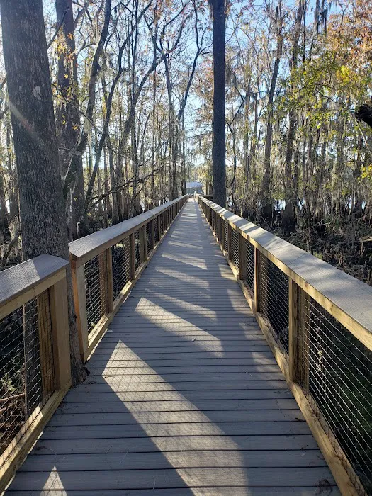 Manatee Springs RV Park Picture 1