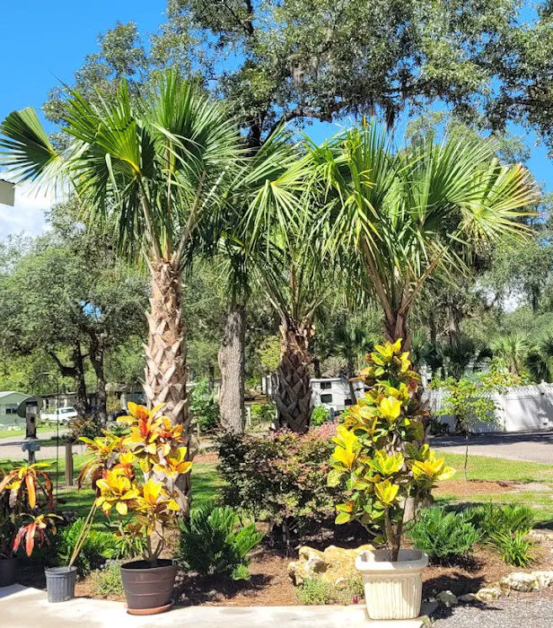 Manatee Springs RV Park Picture 6