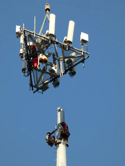 Manatee Springs RV Park Picture 8