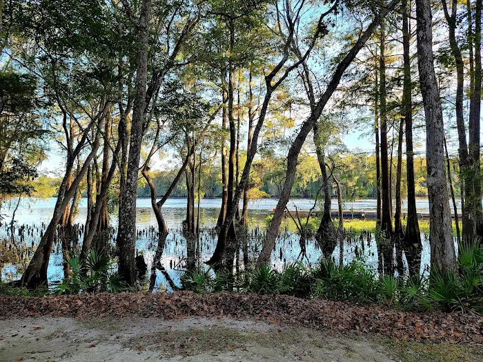 Yellow Jacket RV Resort Picture 7