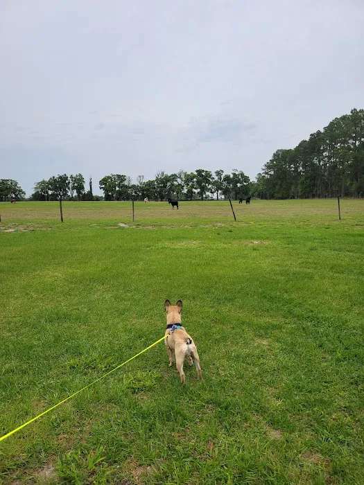 Breezy Acres RV Community Picture 6