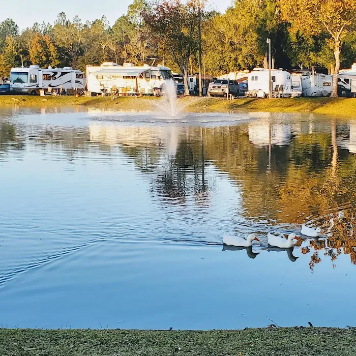 Gainesville RV Park, Boat & RV Storage Picture 3