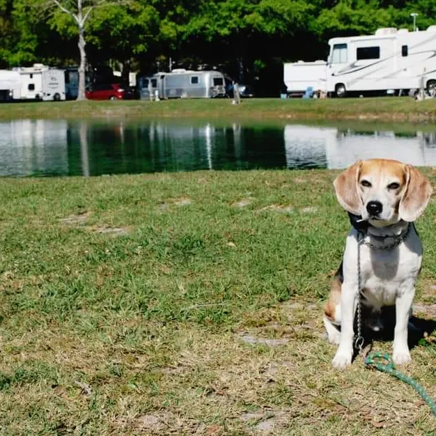 Gainesville RV Park, Boat & RV Storage Picture 1