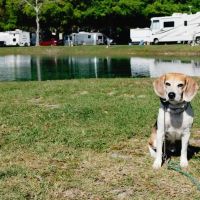 Gainesville RV Park, Boat & RV Storage ico