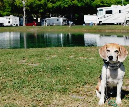 Gainesville RV Park, Boat & RV Storage