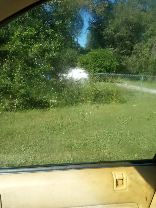Pine Grove Trailer Park Picture 5