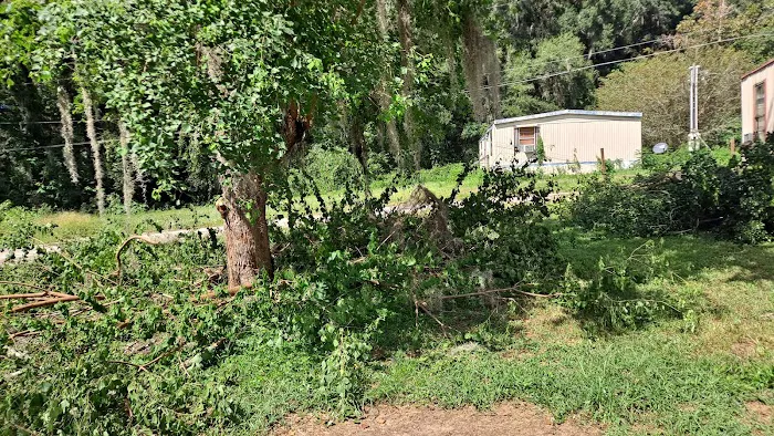 Pine Grove Trailer Park Picture 2