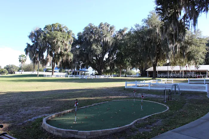 Sun Retreats Ocala Orange Lake Picture 6