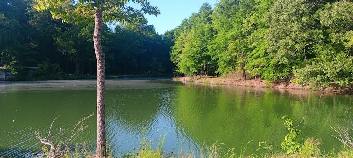 Tombigbee River RV Park Picture 5