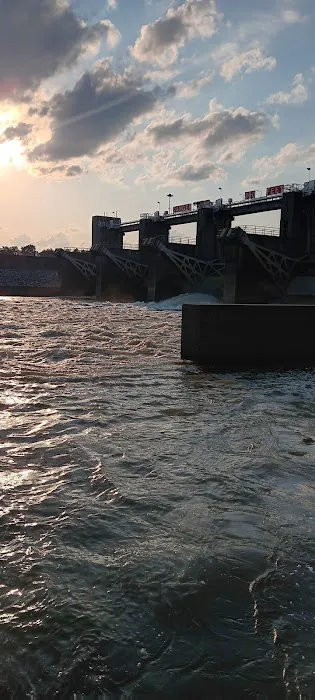 Tombigbee River RV Park Picture 9