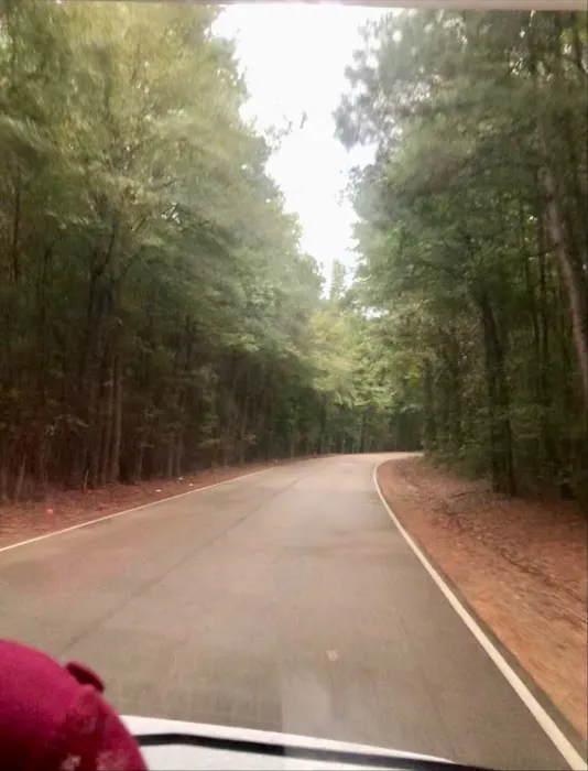 Tombigbee River RV Park Picture 10