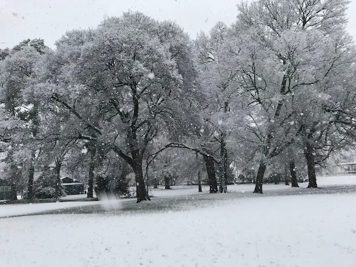 Island Road RV Park Picture 3