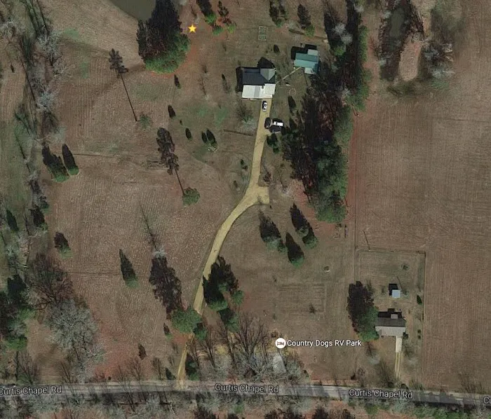 Country Dogs RV Park Picture 2